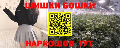 шишки Обь