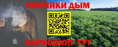 шишки Обь
