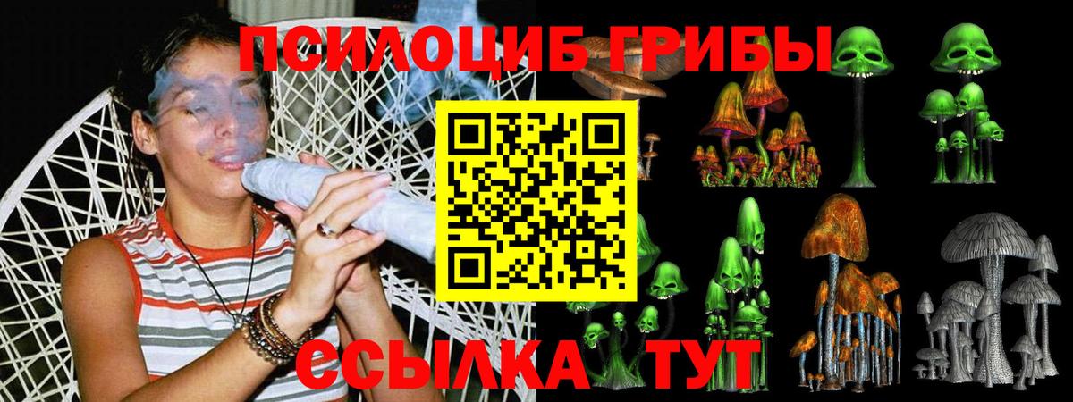 Галлюциногенные грибы прущие грибы  Галлюциногенные грибы мицелий  Вход с VPN  Сергиев Посад 