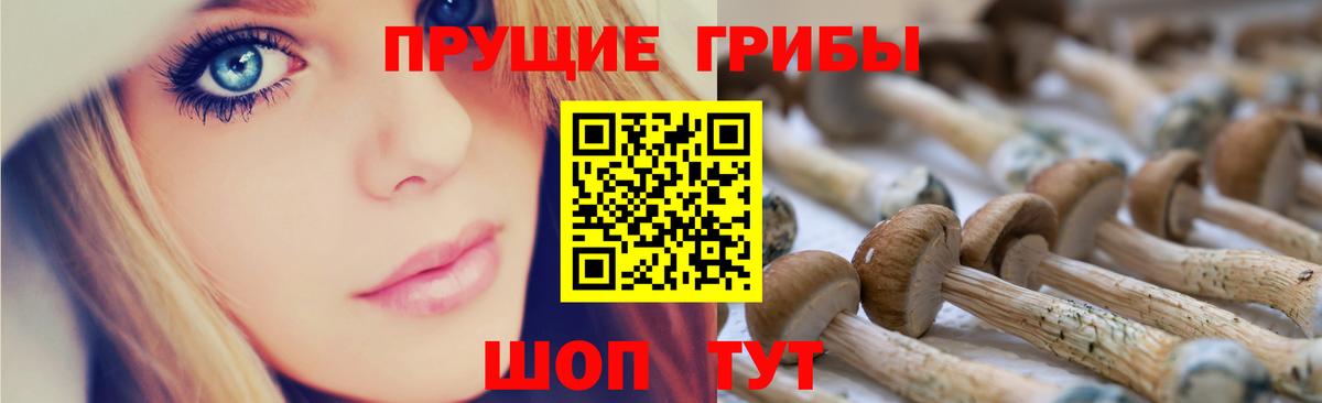 Галлюциногенные грибы прущие грибы Сергиев Посад